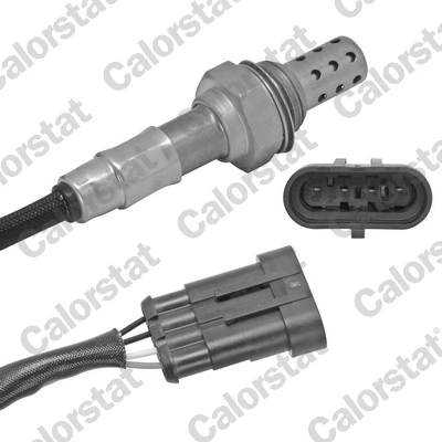 Oxygen Sensor